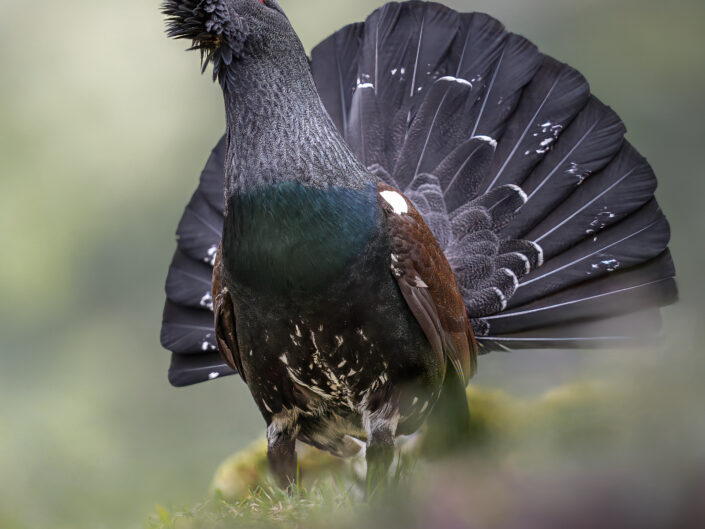 DOLOMITI – tour personalizzati
