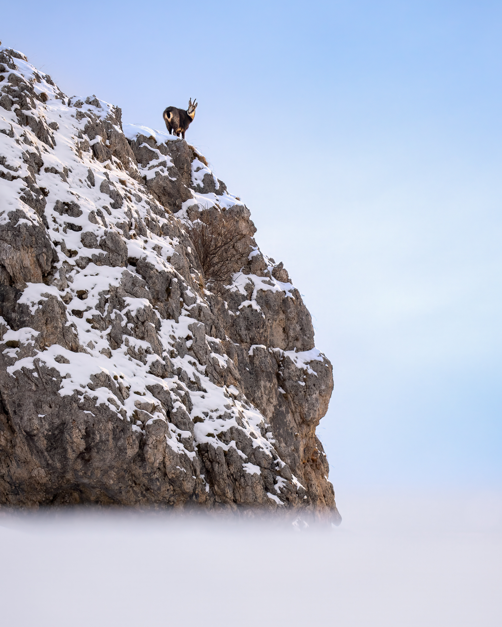 in vetta - immagine 3