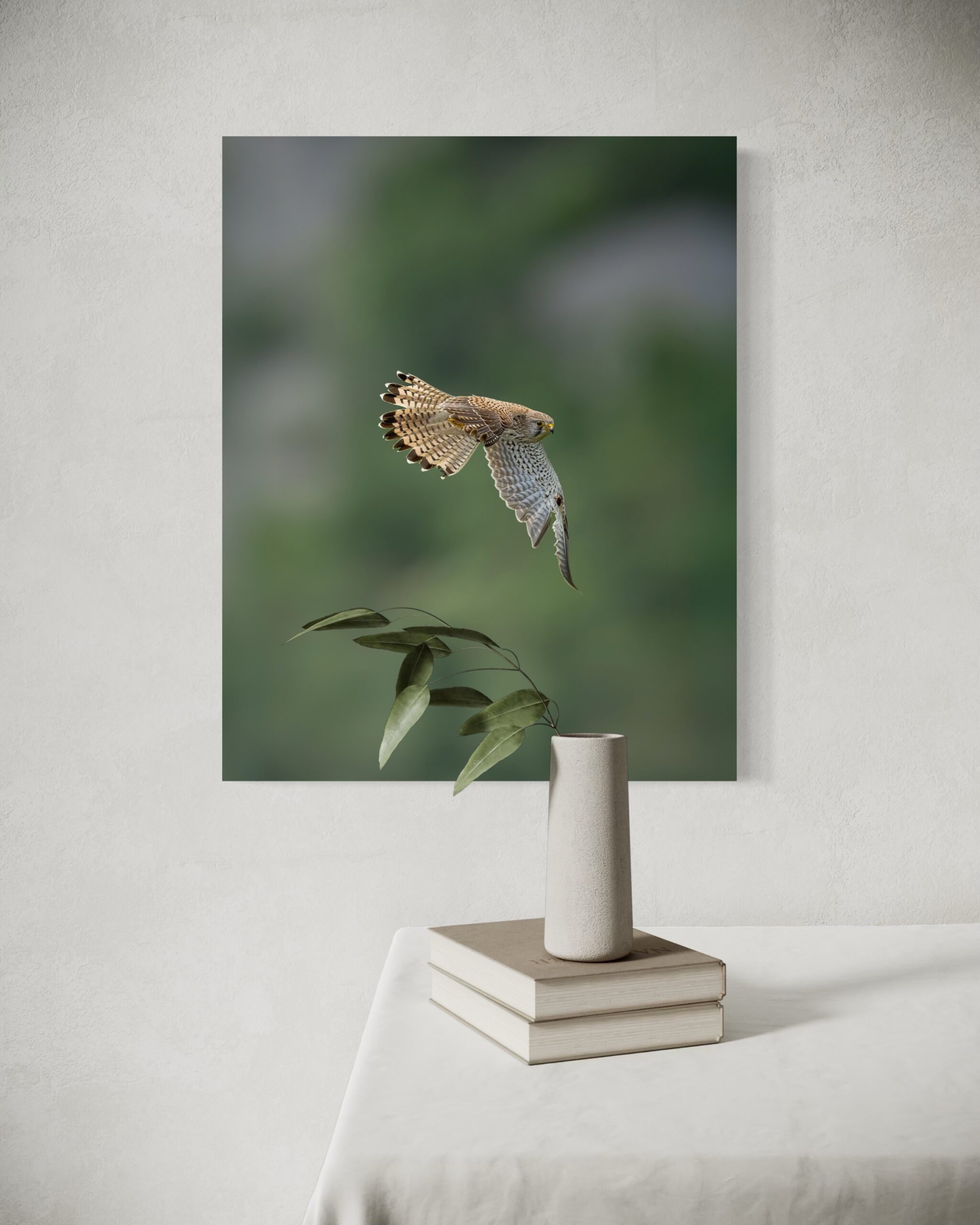 sospeso - immagine 5