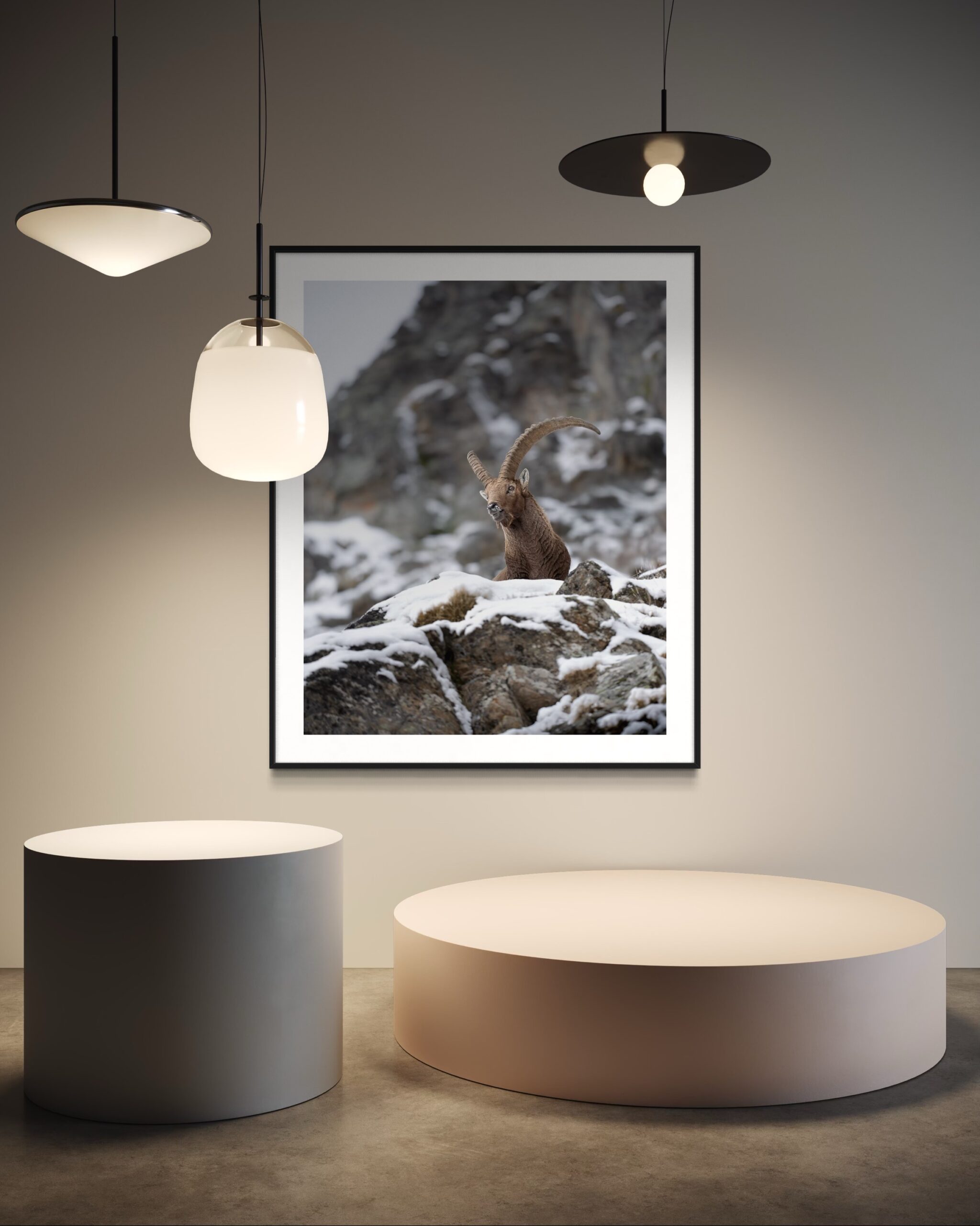 disgelo - immagine 4