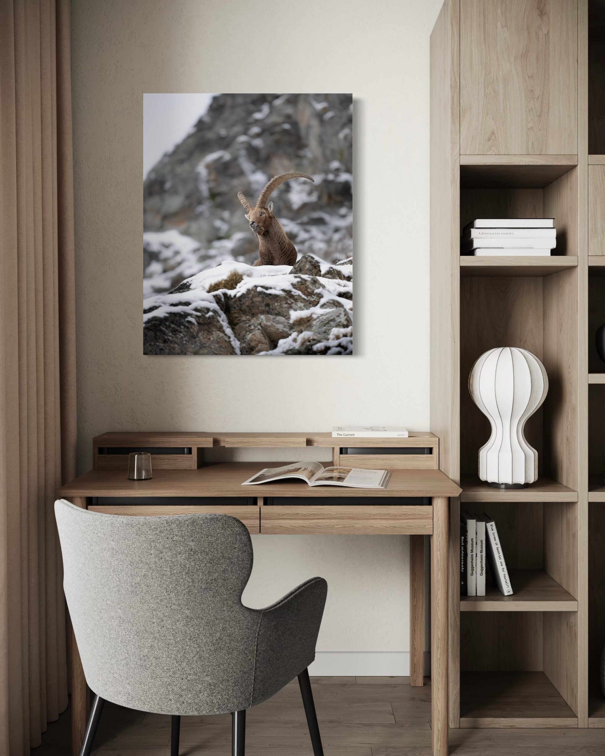 disgelo - immagine 5