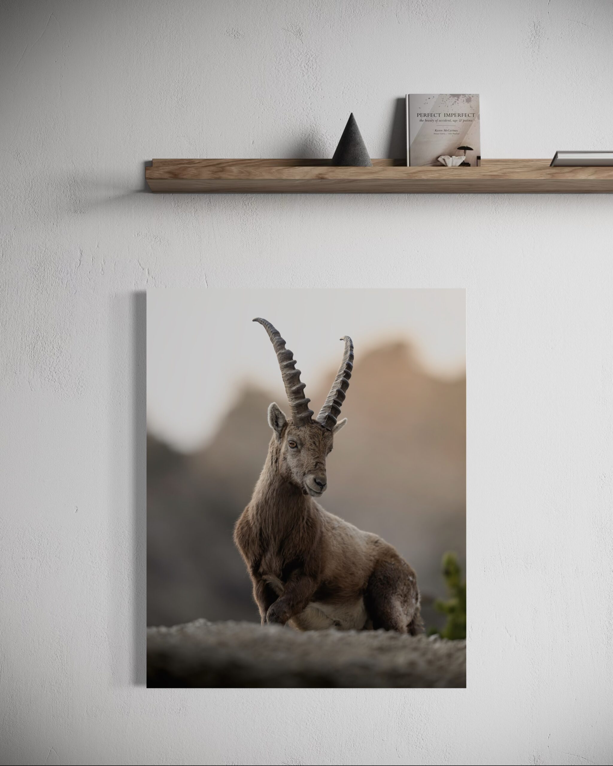 all'alba - immagine 5