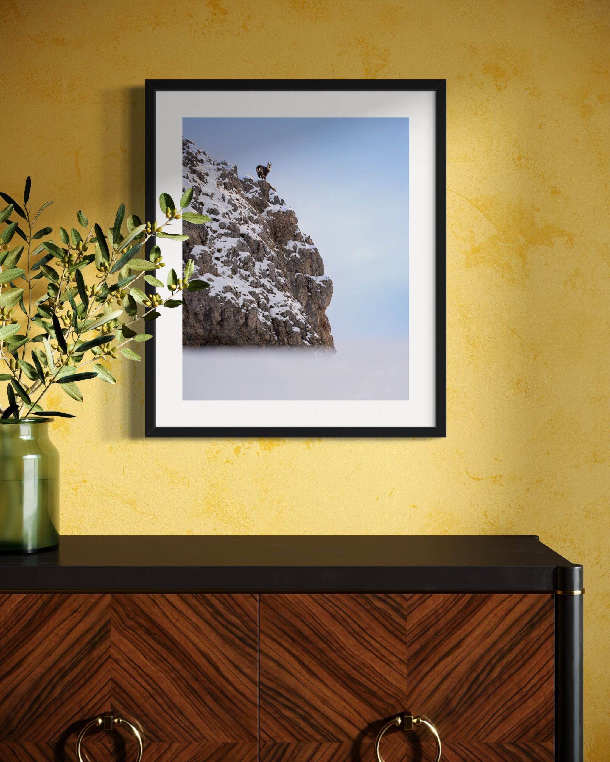 in vetta - immagine 4