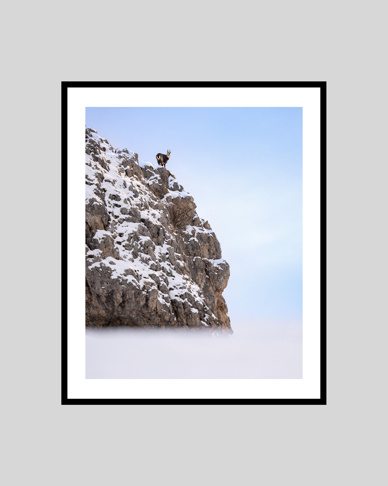 in vetta - immagine 2