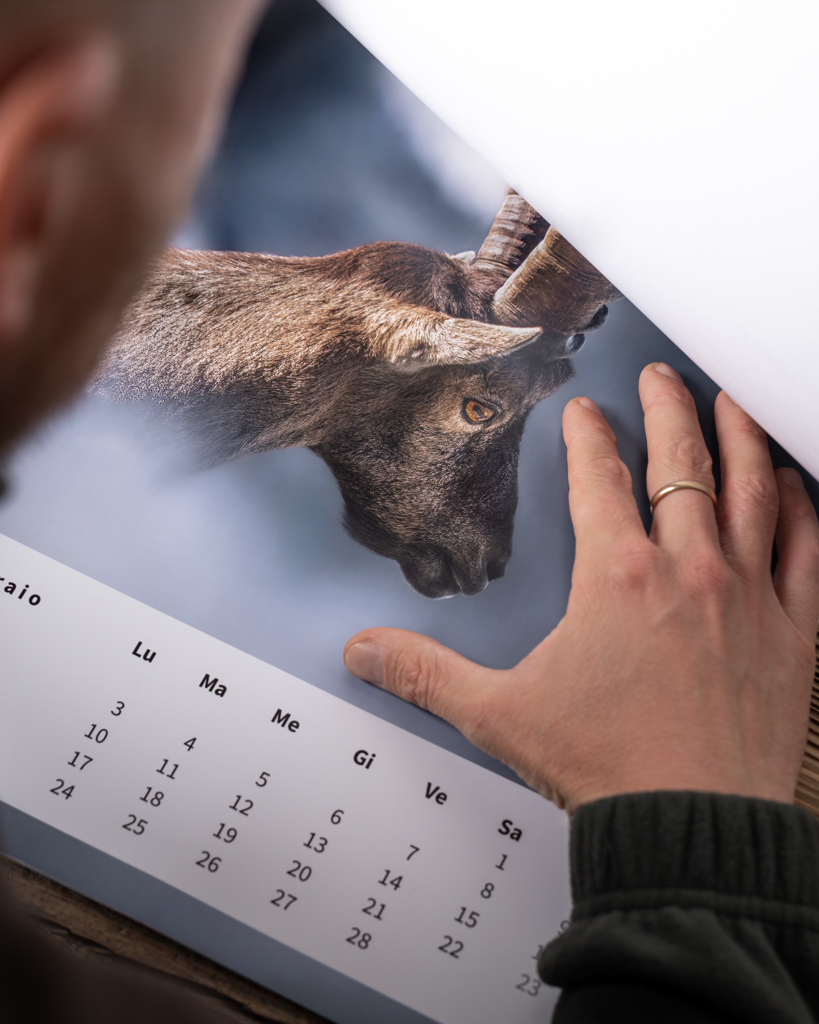 Calendario 2025 - immagine 3