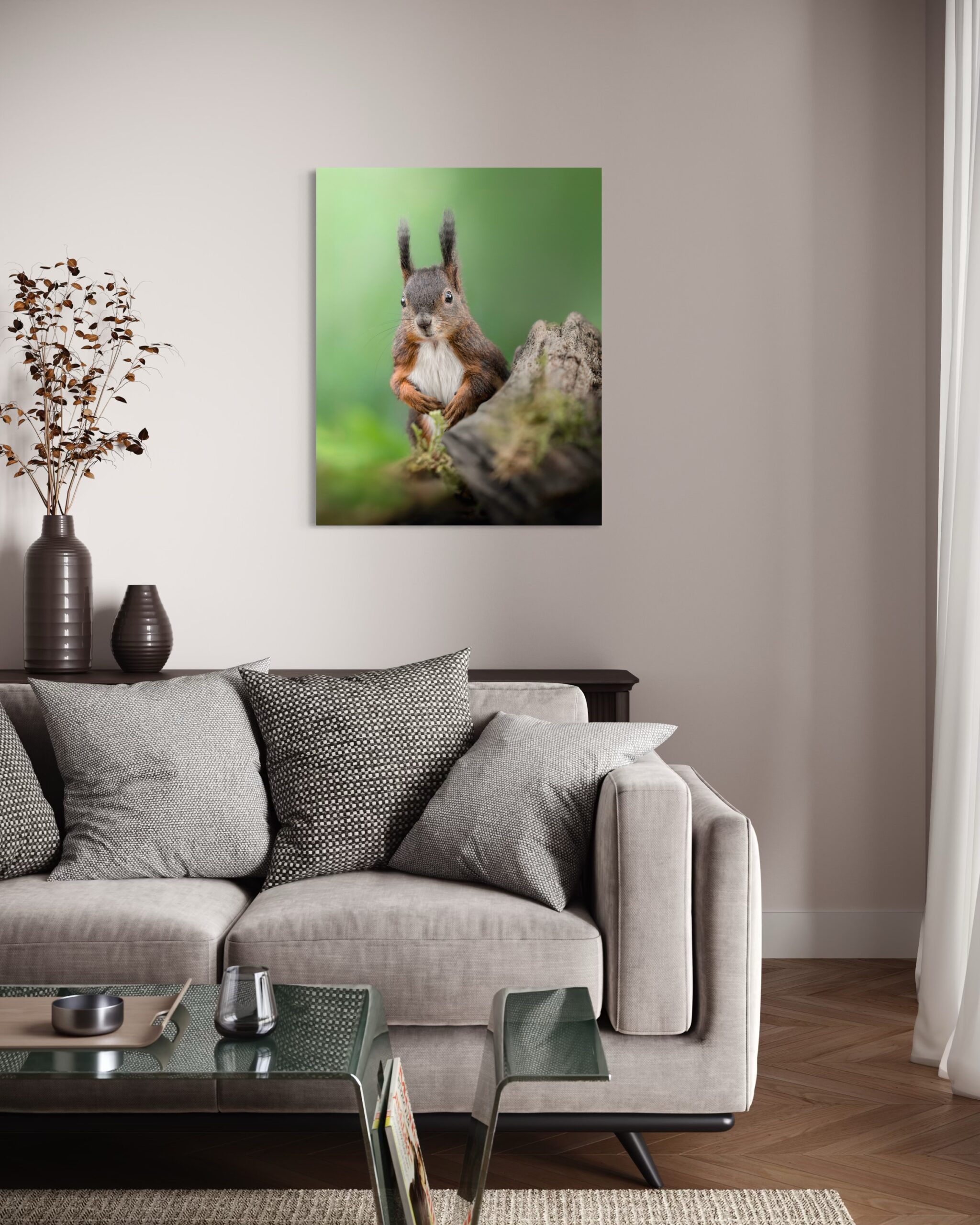 scoiattolo - immagine 5