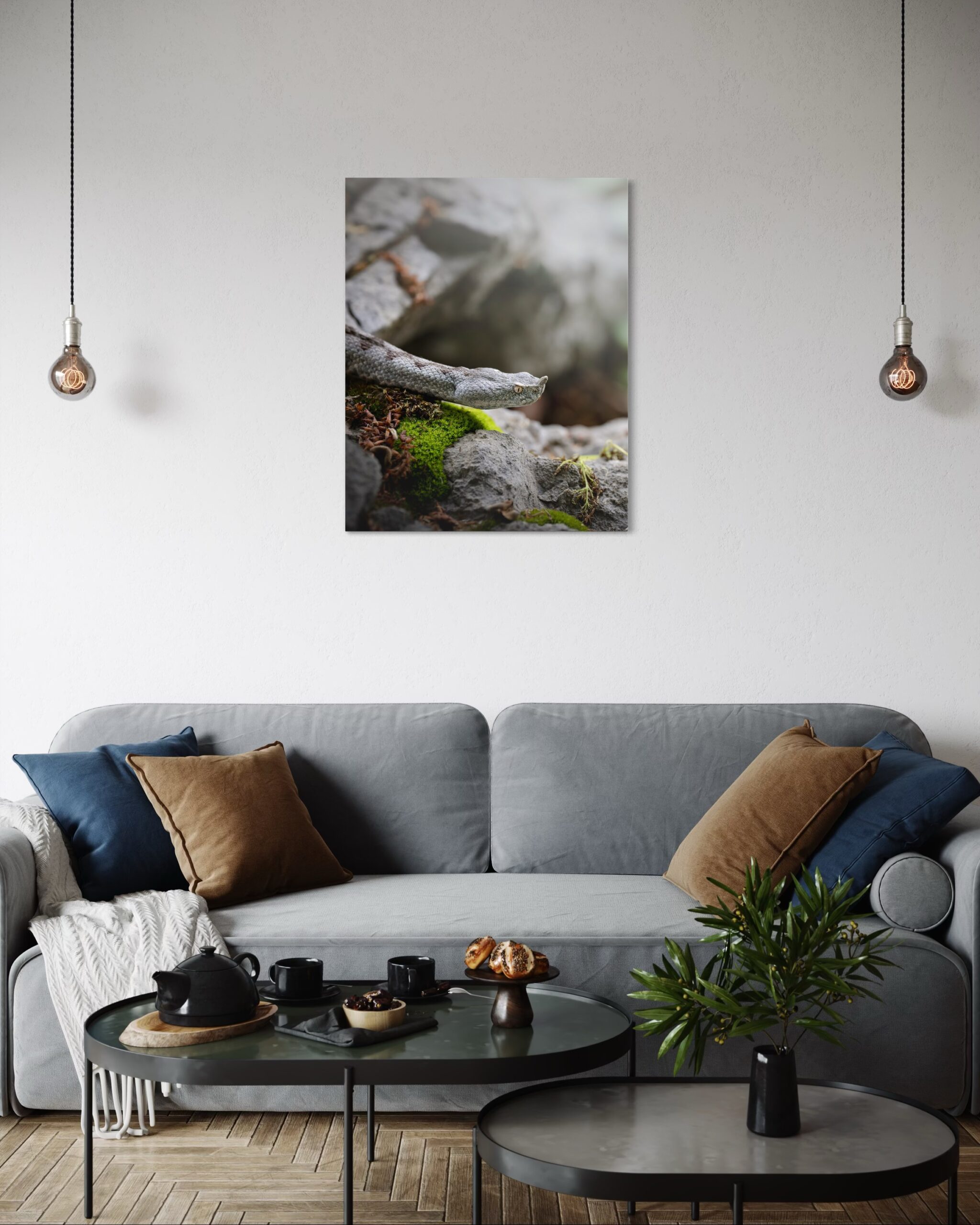 vipera dal corno - immagine 5