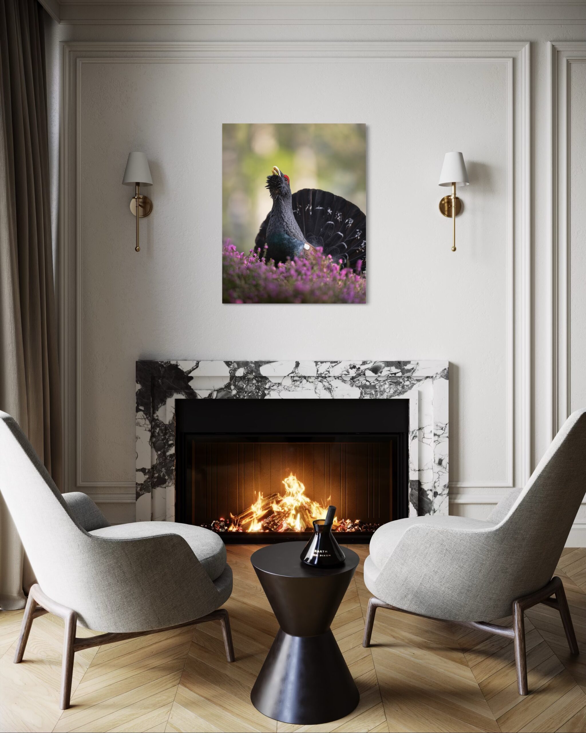 gallo cedrone - immagine 5