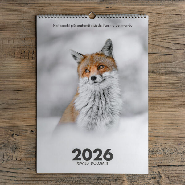 Calendario 2026