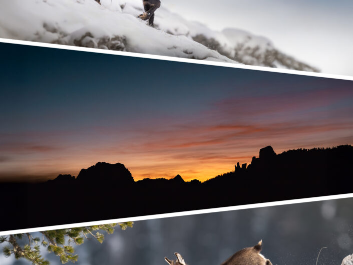 DOLOMITI SELVAGGE – camoscio edition