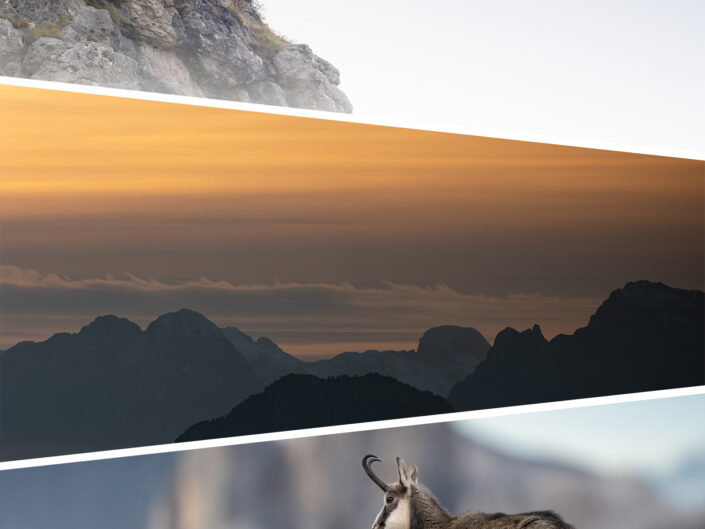 DOLOMITI SELVAGGE – camoscio edition