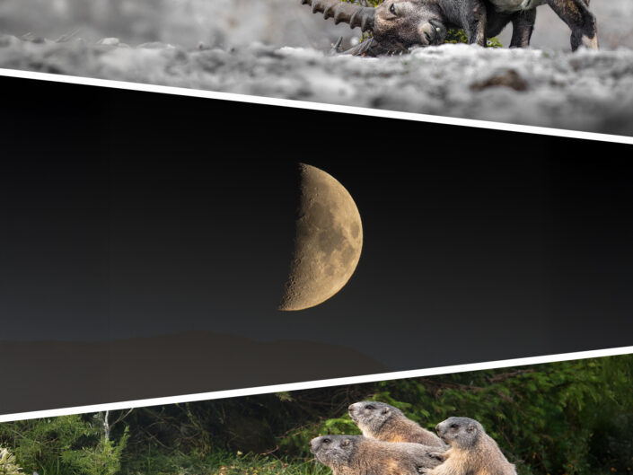 DOLOMITI SELVAGGE – estate