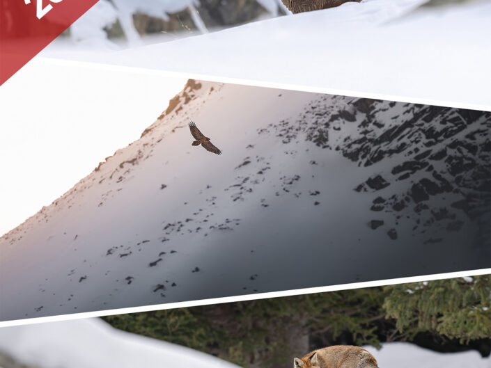 GRAN PARADISO – sottozero