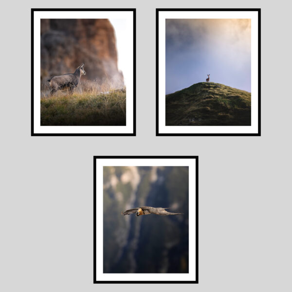 DOLOMITI SELVAGGE - AUTUNNO II