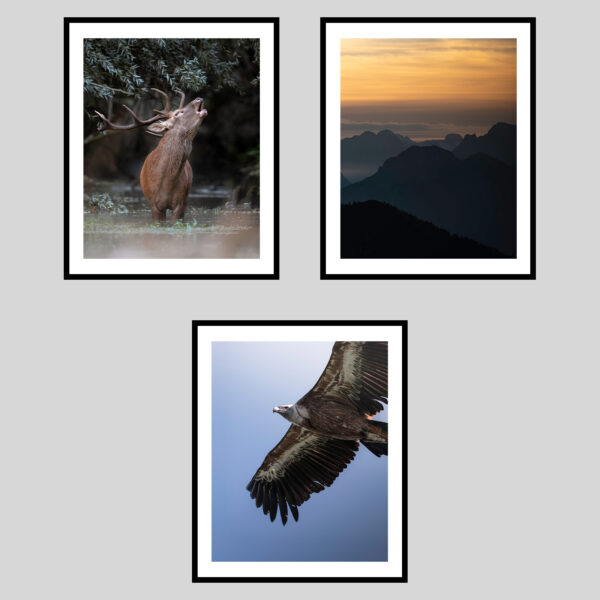 DOLOMITI SELVAGGE - AUTUNNO III