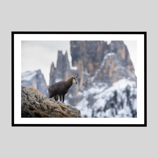 l'inverno alle porte