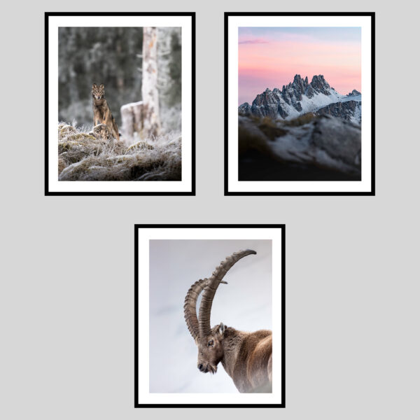 DOLOMITI SELVAGGE - INVERNO II