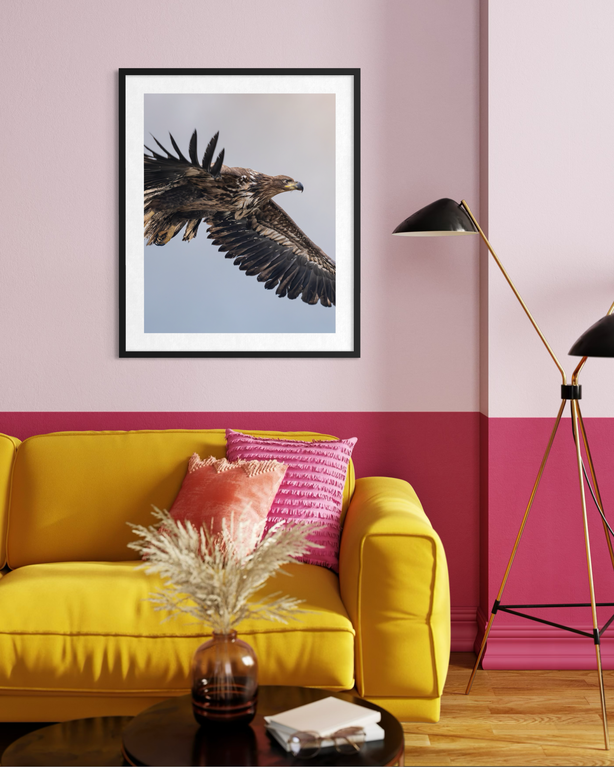 aquila II - immagine 4