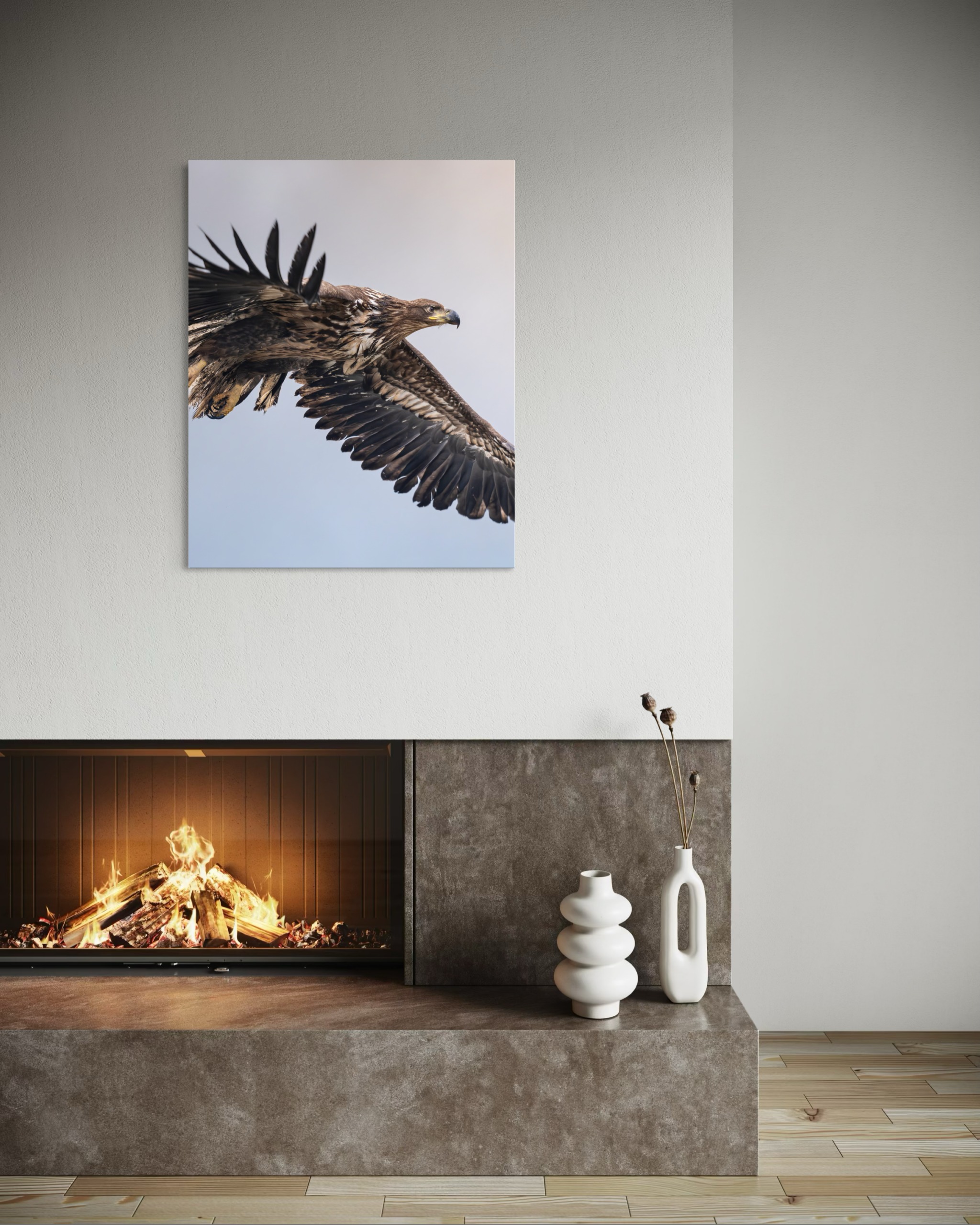 aquila II - immagine 5